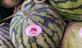 上海网红八卦吃瓜事件,吃瓜群众揭秘幕后真相